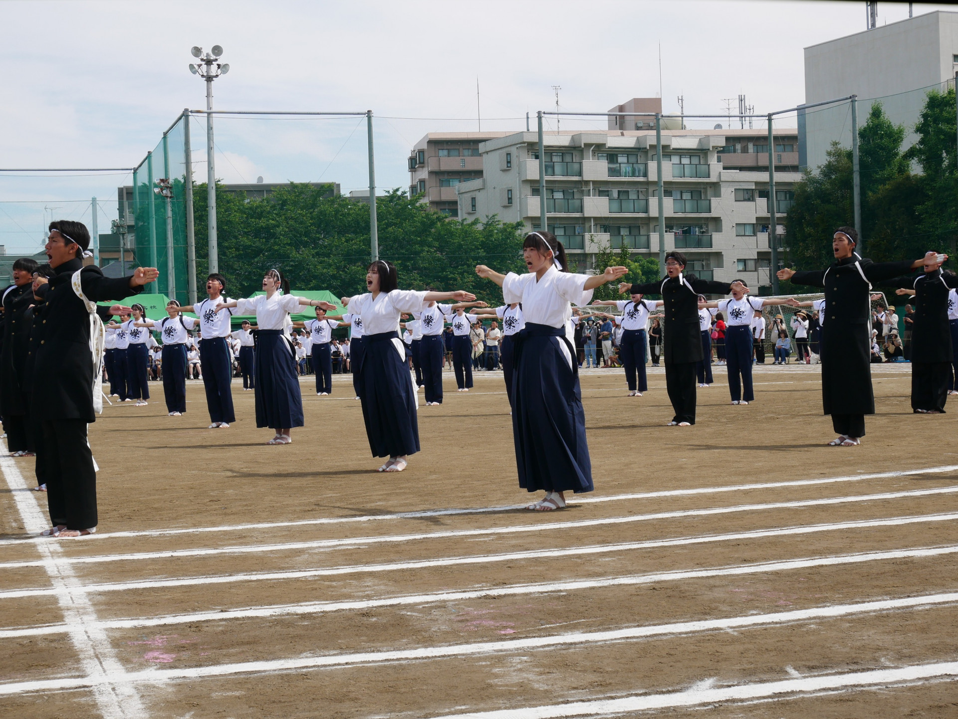 Image (4)